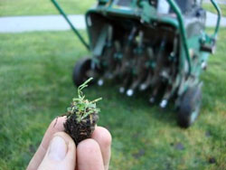 Aeration plugs